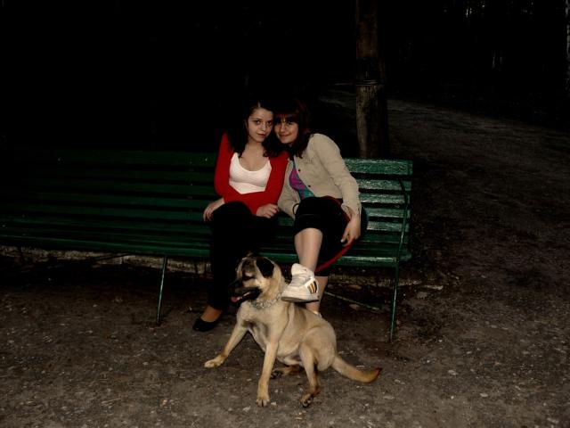 Wpis beaciaa