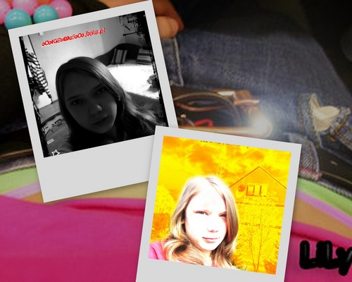 WolNe xD