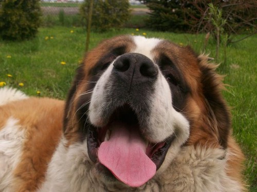 :P