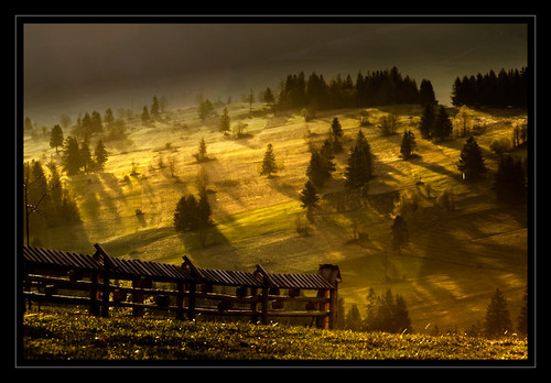 Widok z Okna