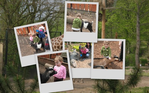 w zoo:)
