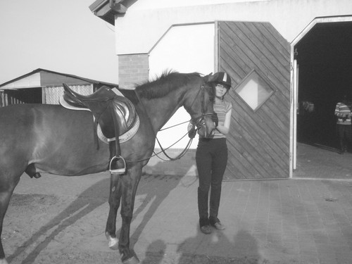 Wpis horses07