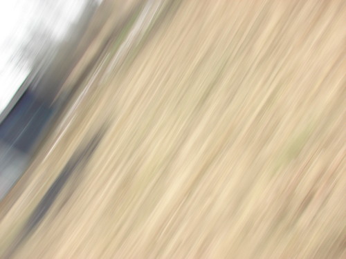 Wpis wehatefuckingqeens