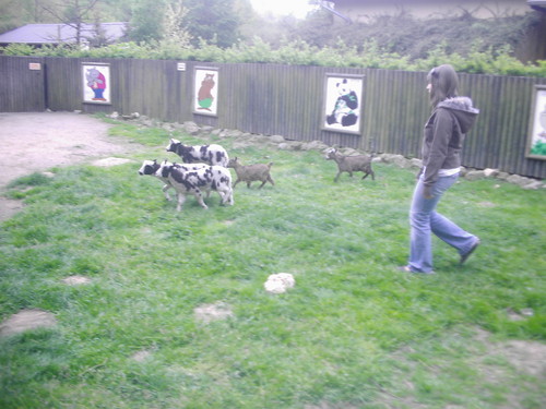 ZoO 2008