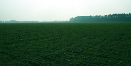 Wpis krzychulec