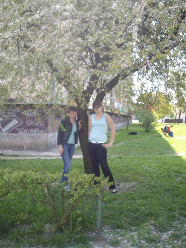 Wpis ziomallkii