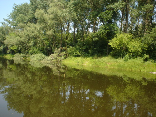 Wpis paulinka180