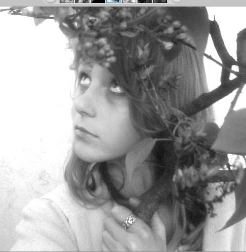 Wpis buleczqaaa