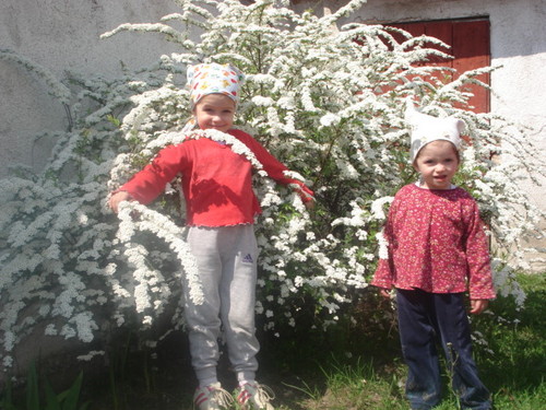 dziewczyny