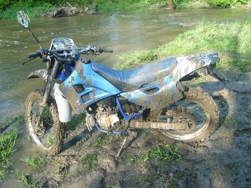 Konary 2008 
