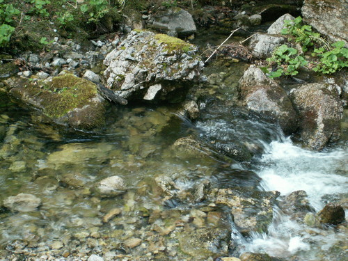 Wpis kusicielkalosu