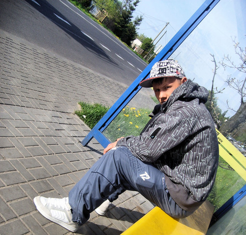 Wpis dzikiandbrzoza