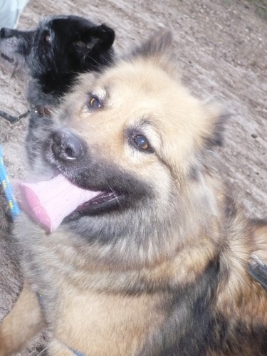 Soka:)