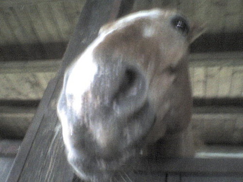 pheh :P