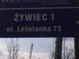 ywiec