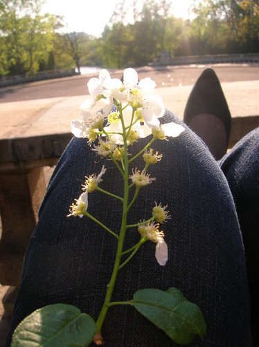 Wiosna