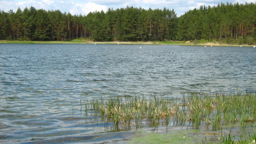 Wpis agulenka91