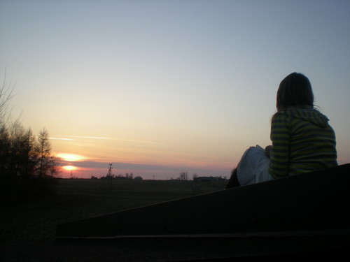 In the roof...