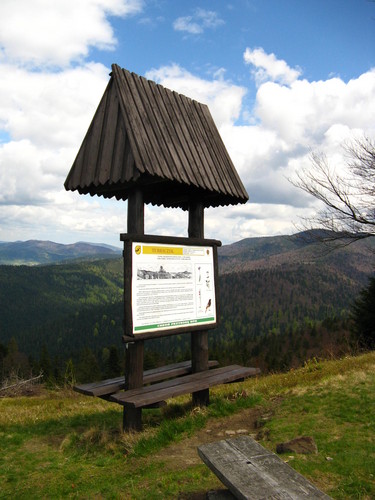 Turbaczyk
