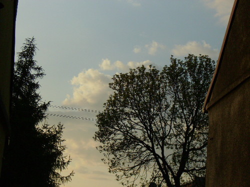 Zamknita pomiedzy 4 ciany...