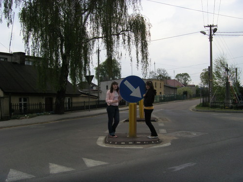 Wpis pannyzolzowate