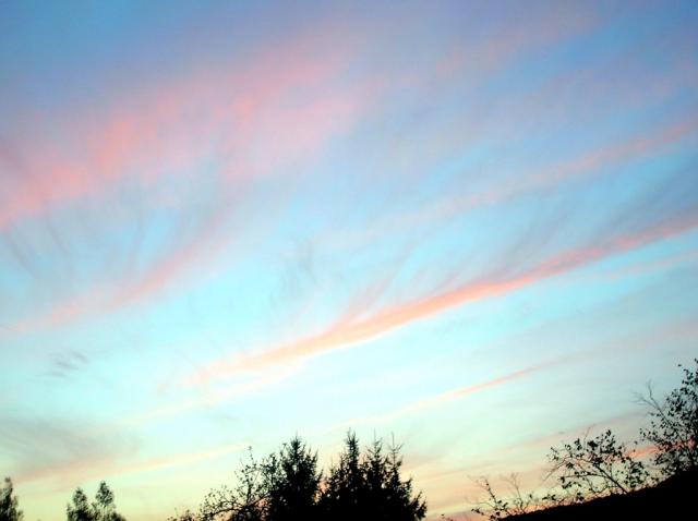 Sky.