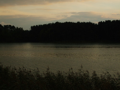 tylko zy