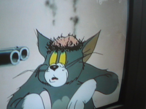 tom & jerry