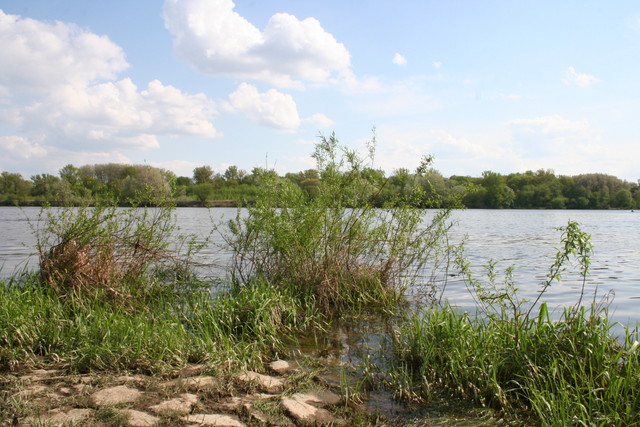 Wpis raszpla