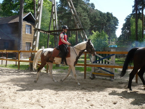 Nestor i Ja