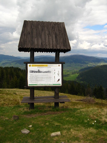 Turbaczyk