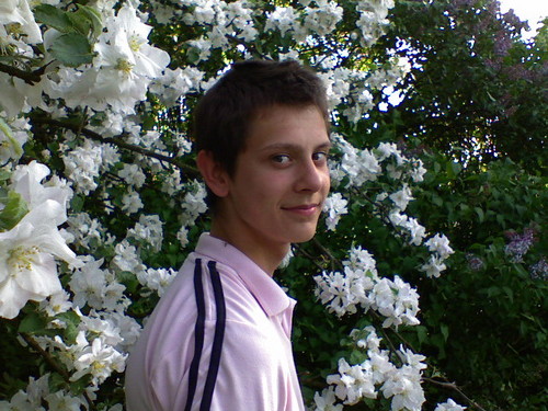 Wpis dadich