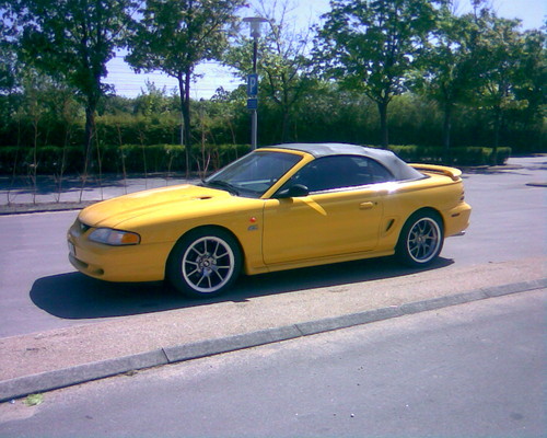 MuStAnG:D:D:D