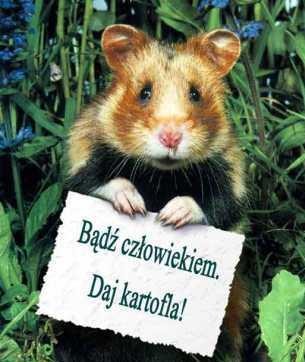 Wpis 19slodziutka94
