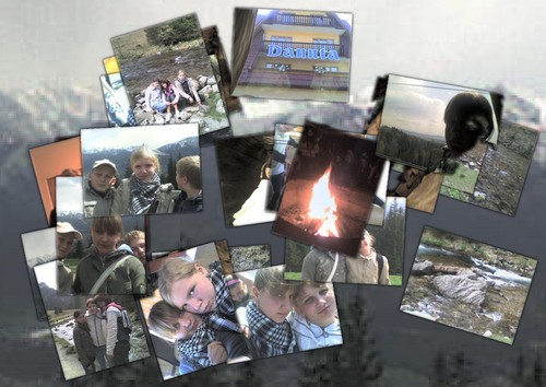 Wpis sciesia0095