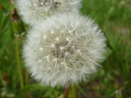 Wpis magdusia090