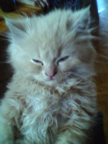 Muuahh ; **