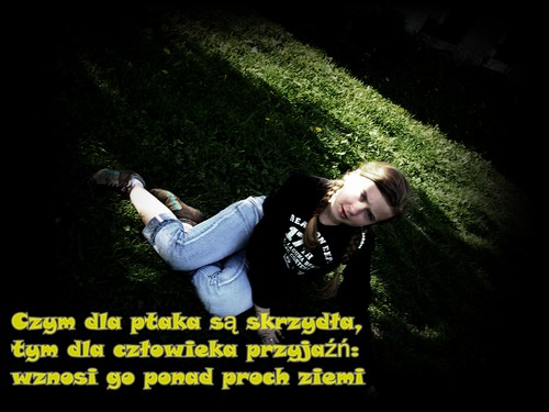 Wpis kinga098