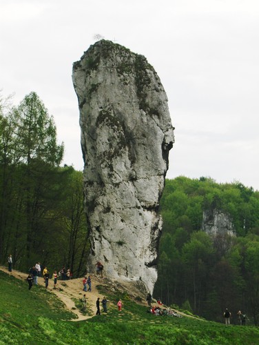 maczuga Herkulesa :)