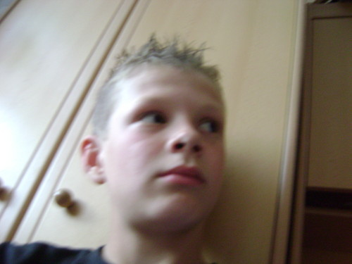 Wpis lodyvaniliowe