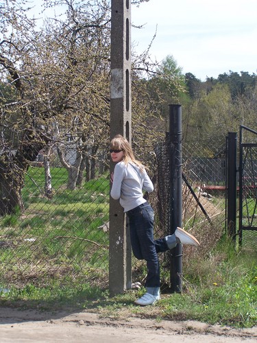 Wpis myszka094