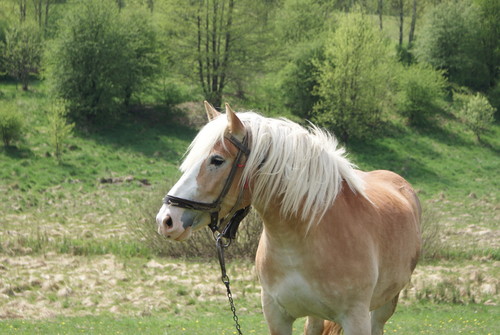 Wpis werka01