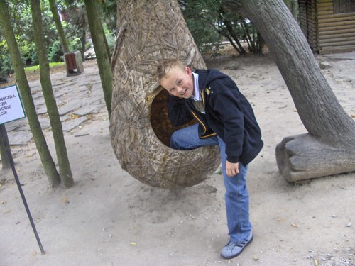 TO jestem Ja w ZOO