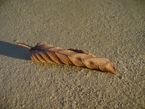 dead nature part 2