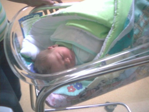 Alanek:*:*:*