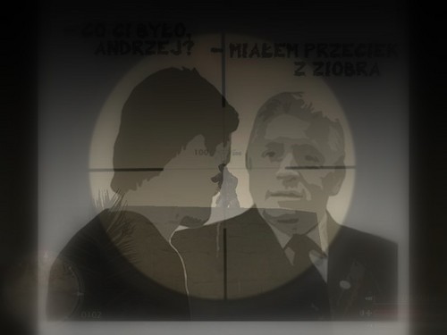 Na celowniku
