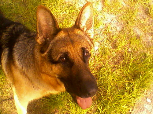 MaX :*