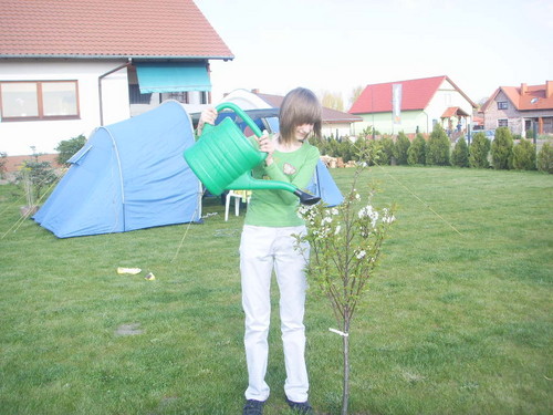 Wpis cutenath
