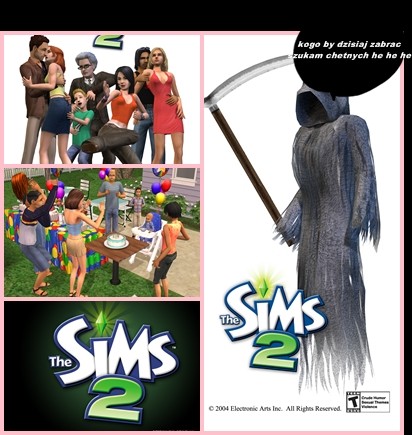 The sims 2