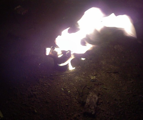 fire totem
